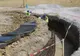 Chiriac a dat asigurări că la Podul de la Brăila se lucrează