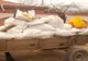 Căruțași amendați pentru că transportau moloz şi gunoi pe străzile municipiului Brăila