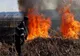 Intervenții ale pompierilor brăileni pentru lichidarea unor incendii în ultimele 24 de ore