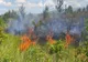 Incendii de vegetație în Brăila