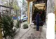 Amendată cu 6000 de lei pentru expunea spre comercializare pomi de Crăciun, fără a deține documentele legale