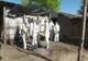 Încă un focar de PPA la începutul anului 