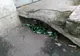 Prinși de Poliția Locală consumând băuturi alcoolice pe domeniul public