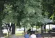 Conflict în zona parcului din Însurăței