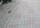 Amenzi aplicate de polițiștii locali pentru proprietarii de câini care nu au strâns excrementele animalelor de pe trotuar