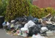 Video: Surprinși în timp ce aruncau gunoaie pe domeniul public