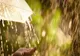 Informare meteo de precipitații moderate cantitativ