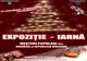 Târgul de Iarnă s-a transformat în Expoziție de Iarnă
