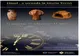 „Omul – o secundă în istoria Terrei”- expoziție realizată de Muzeul Brăilei „Carol I” și Muzeul Național de Geologie