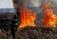 Video: Incendii de vegetație în ultimele trei zile în județul Brăila