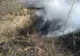 Pompierii brăileni au intervenit în acest weekend la 20 de incendii de vegetație uscată și gunoi