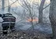 Video: Incendiu de vegetație în Insula Mică a Brăilei