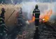 Incendii de vegetație în județul Brăila