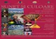 Comunitatea Rușilor Lipoveni Brăila și Katiușa Design Jurilovca vă invită la vernisajul expoziției temporare „Sunet și culoare“