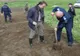 Aproape 2000 de metri pătrați împăduriți de jandarmii brăileni împreună cu reprezentanți ai Direcției Silvice