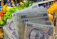 Deficitele și inflația țin România departe de zona euro