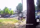 Amenzi aplicate de Poliția Locală Brăila în perioada 10-17 iulie