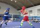 Vineri au loc la Brăila semifinalele campionatului național de box pentru juniori
