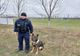 Fedor, câinele de 10 al Jandarmeriei Brăila și prima sa misiune